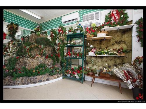 569 Woodstock Rd, Fredericton, NB 