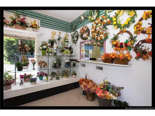 569 Woodstock Rd, Fredericton, NB 