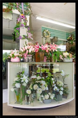 569 Woodstock Rd, Fredericton, NB 