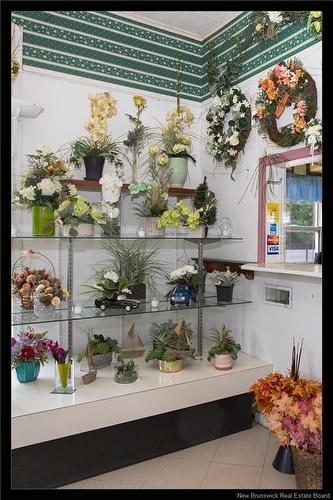 569 Woodstock Rd, Fredericton, NB 