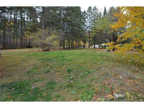 3075 Middle River Rd, Middle River, NB 