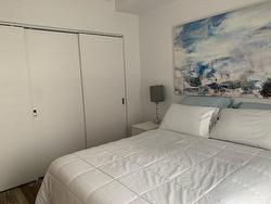 Chambre à coucher principale - 