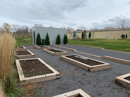 Jardin - 105-4 Av. Donegani, Pointe-Claire, QC - Outdoor