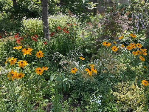 20 Avonlea Drive, Charlottetown, PE 