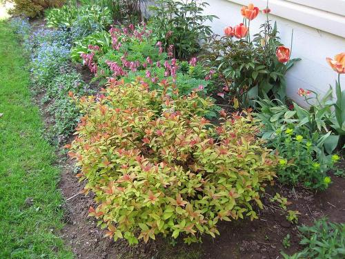 20 Avonlea Drive, Charlottetown, PE 