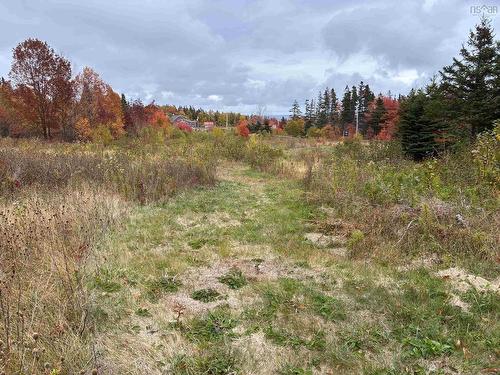 Cabot Trail, North Shore, NS 