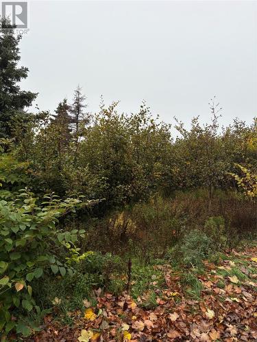 555-559 Marine Drive, Logy Bay/Middle Cove/Outer Cove, NL 