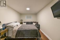 5th bedroom on lower level - 