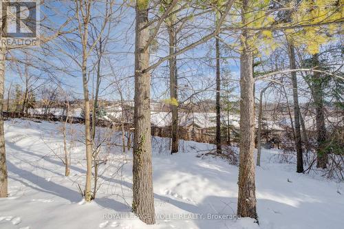 33 Tinatawa Court, Kitchener, ON - Outdoor With View
