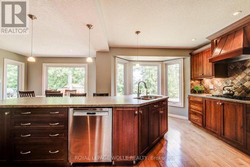 33 Tinatawa Court, Kitchener, ON - Indoor Photo Showing Kitchen With Double Sink With Upgraded Kitchen