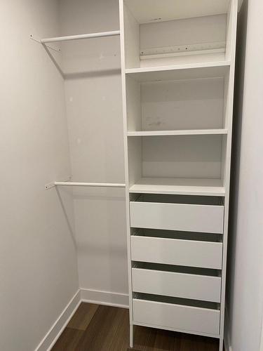 Walk-in closet - 431-815 Av. Plymouth, Mont-Royal, QC - Indoor With Storage