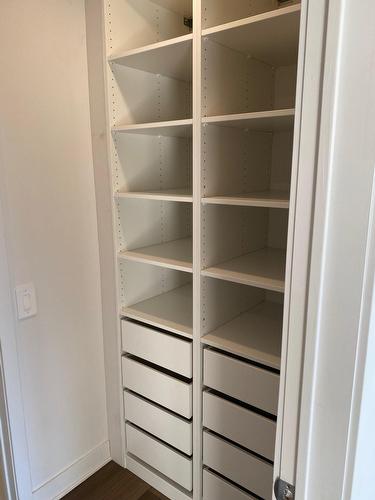 Walk-in closet - 431-815 Av. Plymouth, Mont-Royal, QC - Indoor With Storage