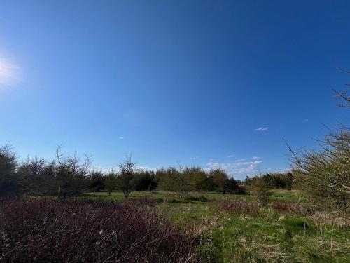 Terre/Terrain - 310 Route 132 E., Bonaventure, QC 