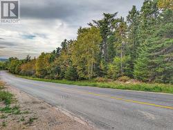 0 Tucker's Hill  Lethbridge, NL A0C 1V0