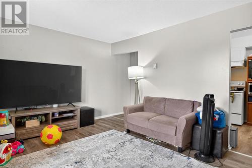 135 Lansdowne Street W, Peterborough (Otonabee Ward 1), ON - Indoor Photo Showing Living Room