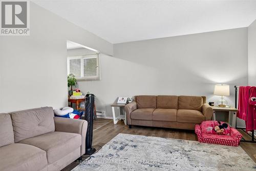 135 Lansdowne Street W, Peterborough (Otonabee Ward 1), ON - Indoor Photo Showing Living Room