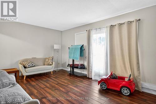 135 Lansdowne Street W, Peterborough (Otonabee Ward 1), ON - Indoor Photo Showing Living Room