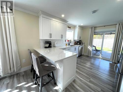 40C Riverside Drive, Bishop'S Falls, NL - Indoor Photo Showing Kitchen