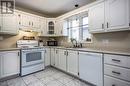 68 Greenspond Drive, St. John'S, NL  - Indoor Photo Showing Kitchen With Double Sink 