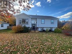 18 King Street  Pasadena, NL A0L 1K0