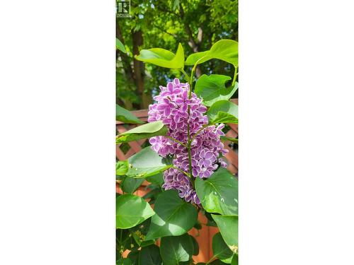 3930 26 Street, Vernon, BC - 