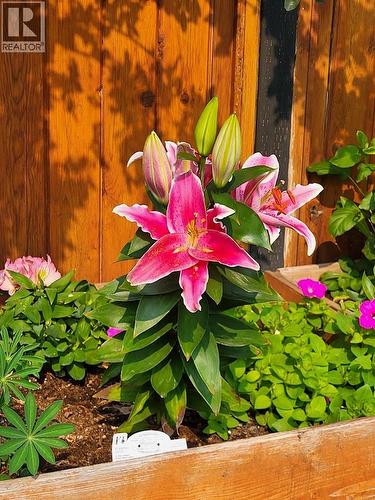 3930 26 Street, Vernon, BC - Outdoor