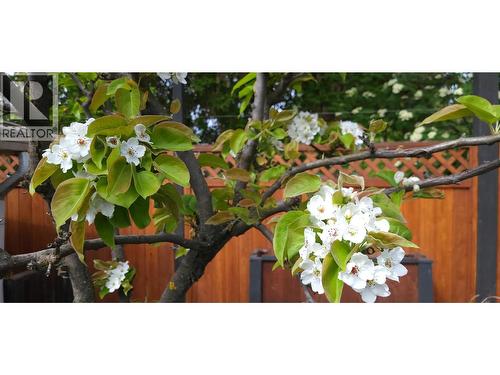 3930 26 Street, Vernon, BC -  With View