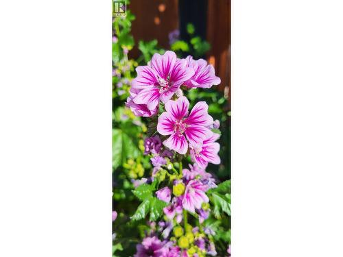 3930 26 Street, Vernon, BC - Outdoor