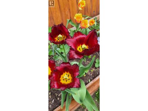 3930 26 Street, Vernon, BC - 