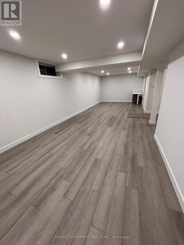 Lower - 19 Pavarotti Court, Hamilton, ON - Indoor