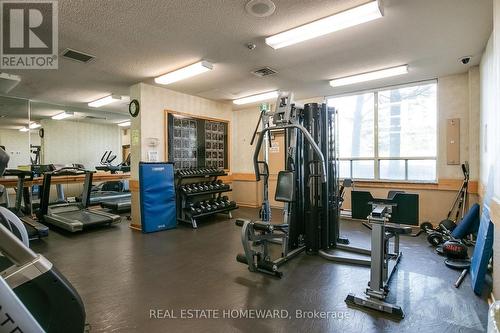 Gym. - 1006 - 215 Wynford Drive, Toronto, ON - Indoor Photo Showing Gym Room