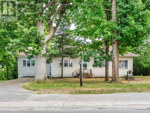 36 NORTH STREET  Kawartha Lakes, ON K0M 1A0