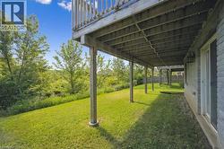 View of green lawn - 