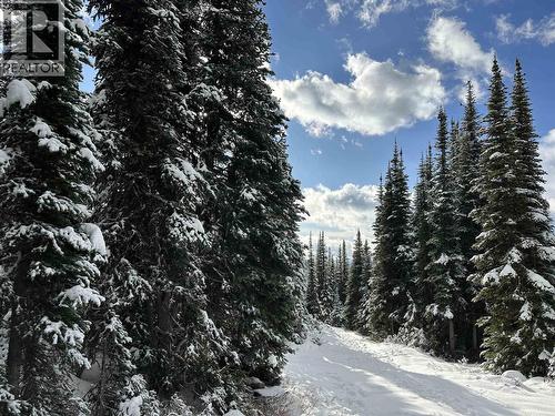 345 Prairie Road, Smithers, BC 