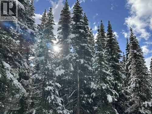 345 Prairie Road, Smithers, BC 