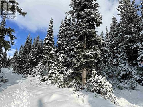 345 Prairie Road, Smithers, BC 