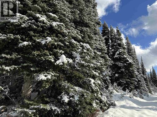 345 Prairie Road, Smithers, BC 