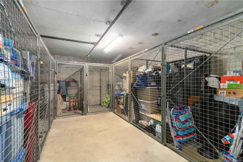 303-83 Saghalie Rd, Victoria, BC - Indoor With Storage