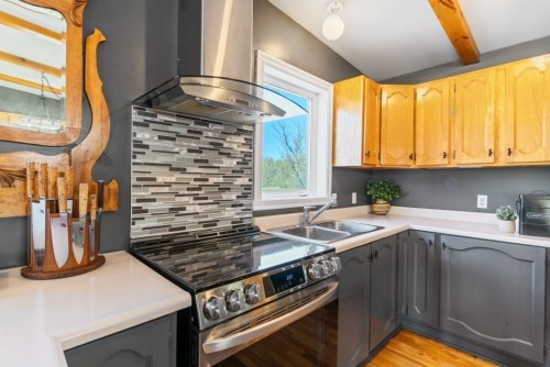 Cuisine - 1305 Rue De Montbrun, Boucherville, QC - Indoor Photo Showing Kitchen With Double Sink