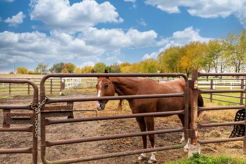 Autre - 979 Rue Garand, Saint-Jean-Sur-Richelieu, QC - Outdoor With View
