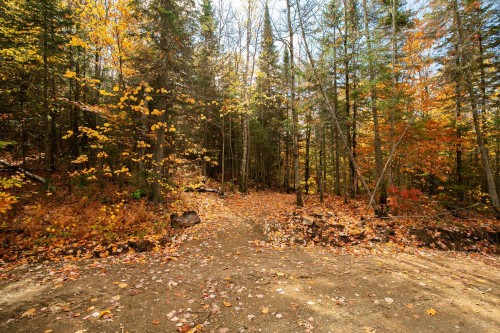 Terre/Terrain - 3E Avenue St-Vincent, Sainte-Béatrix, QC 