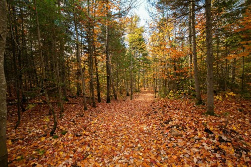 Accès au plan d'eau - 3E Avenue St-Vincent, Sainte-Béatrix, QC 