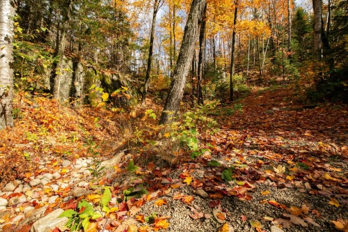 Terre/Terrain - 3E Avenue St-Vincent, Sainte-Béatrix, QC 