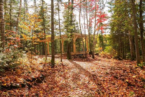 Accès au plan d'eau - 3E Avenue St-Vincent, Sainte-Béatrix, QC 