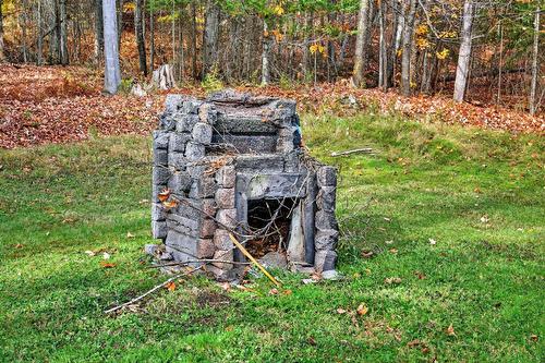 Extérieur - 296 Ch. Bréard, Mont-Tremblant, QC - Outdoor