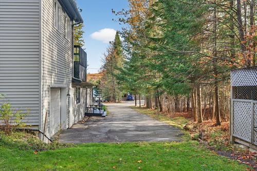 Extérieur - 296 Ch. Bréard, Mont-Tremblant, QC - Outdoor