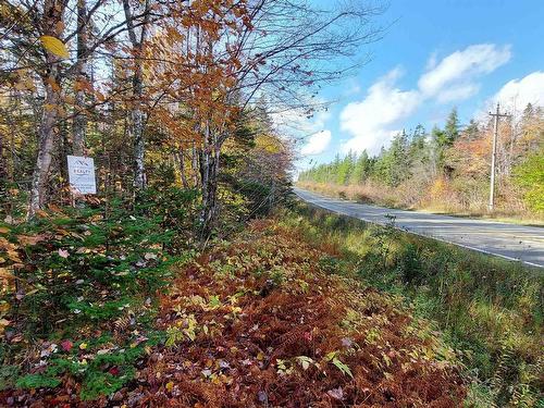 70 Acre Highway 4, Grande Anse, NS 