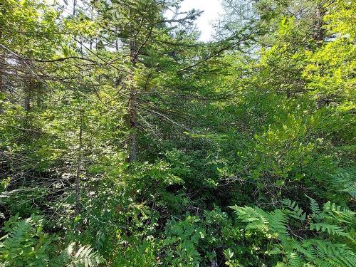 70 Acre Highway 4, Grande Anse, NS 