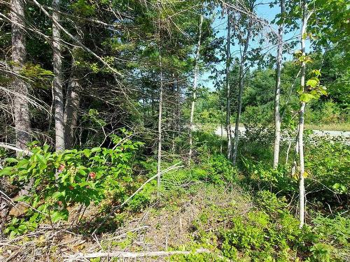 70 Acre Highway 4, Grande Anse, NS 