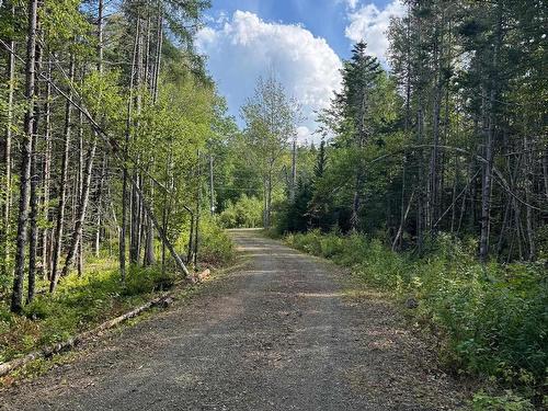Marble Mountain Road, Big Harbour, NS 